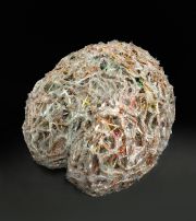 6_Brain_Coral