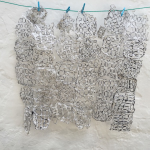 Warp and Weave. Reenie Charriere