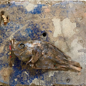 Trophy, Deb Gorman