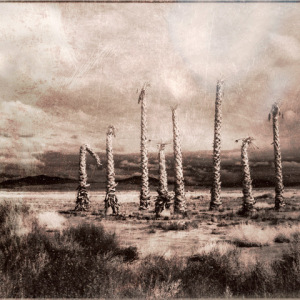 A Death in the Desert #3, Marguerite Garth
