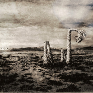 A Death in the Desert #11