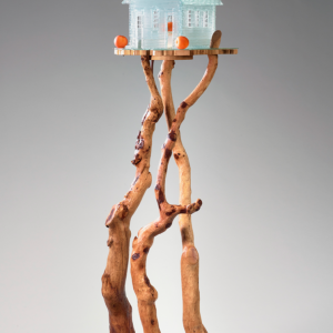 The Lost Orchards of the Silicon Valley, Mary Bayard White