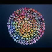 Circle