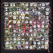garden4