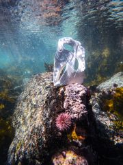 AlburyVanessa_CapeTownSA2023-03