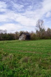 virginiamallon-atthegnaw-7