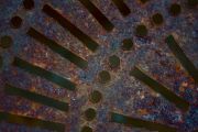 virginiamallon-atthegnaw-positivespace