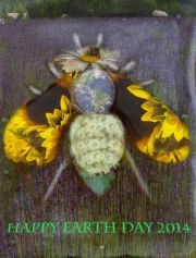 virginiamallon-bee