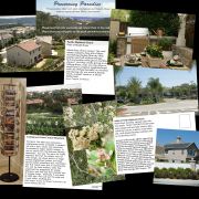8WallenPreservingParadise