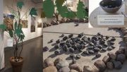Wallenrememberthetreesinstallsm