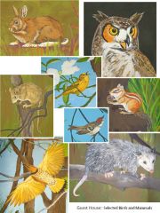 04-guesthouse-d1-small