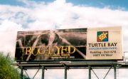 bugeyedbillboardsm