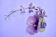 Gunter_Vicki_FarewellToSpring_2019_19x26x10_detail2