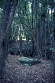 image-1_mcgrath_marys-bed