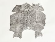frogskin1