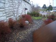 2_wysong_vanportswalewinter-low_