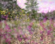 PlantVOCscape03