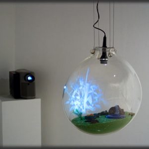 Holodeck for House Crickets