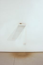 a cyclica desire for1