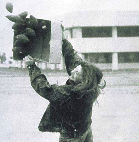 Performative Public Art Ecology