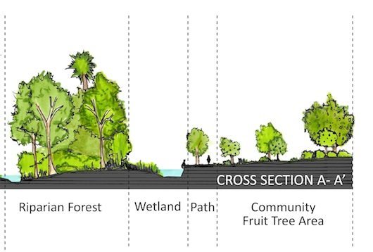 17 CrossSectionAA(b) copy
