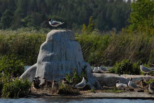 Veden Taika/The Magic of Water, Jackie Brookner, Salo, Finland. Photo credit:  Tuula Nikulainen
