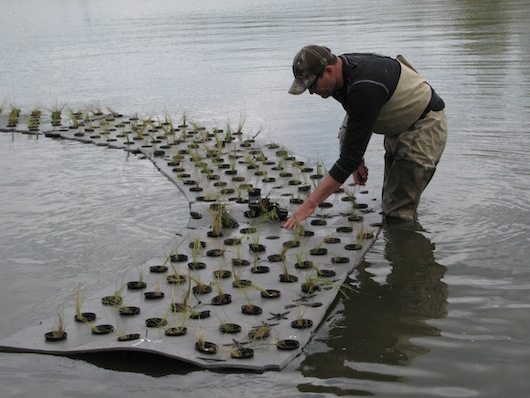 9. floating the spiral