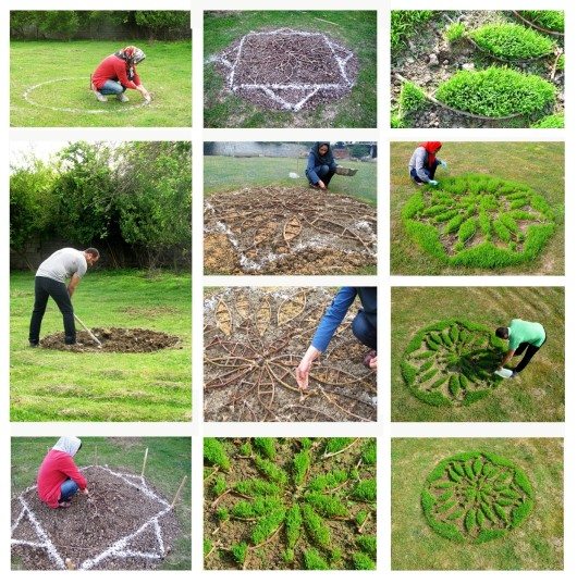 2-circle project, farm fish,farzaneh najafi, Babolsar,Iran