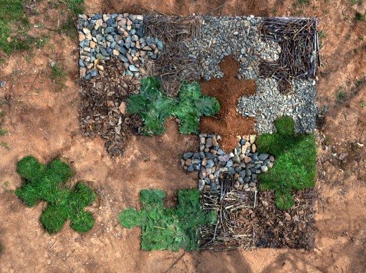 Asiyeh mohamadian, From Puzzle of Nature series, Neyshabur, Iran, 2013