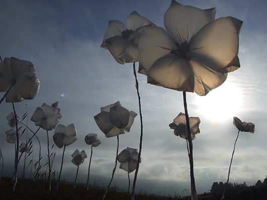 Featured Image for Issue