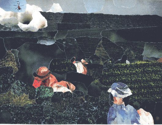 CarolAndreasfarmworkercollage