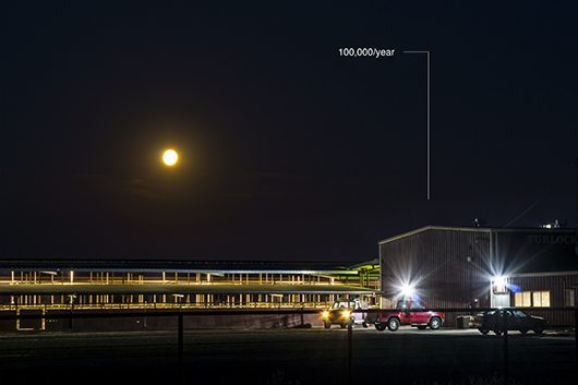 IsabellaLaRoccaNEWFEMINISM6 (1)