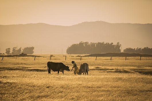 IsabellaLaRoccaNEWFEMINISM7 (1)