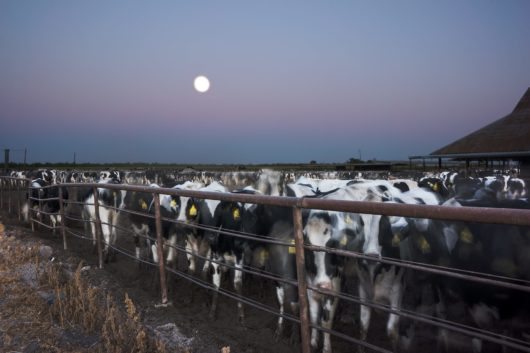 isabellalaroccacensoredlandscapes