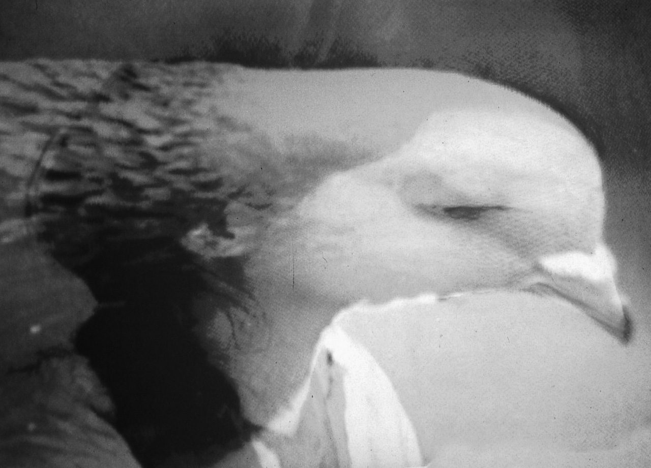 Emphatic Relationships