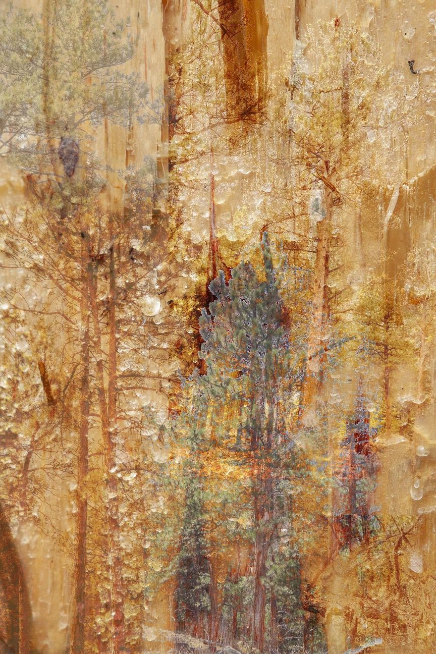 The Stickiness of Touch