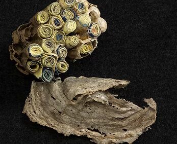 Where Does the Water Go: 2023