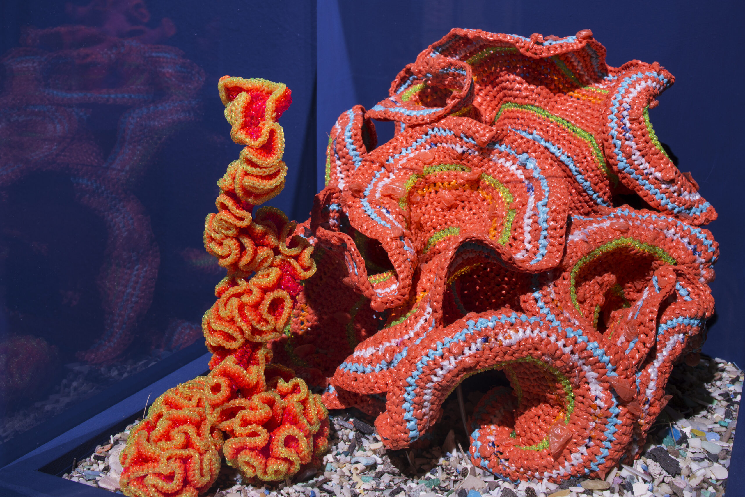 Community and Kin Builders