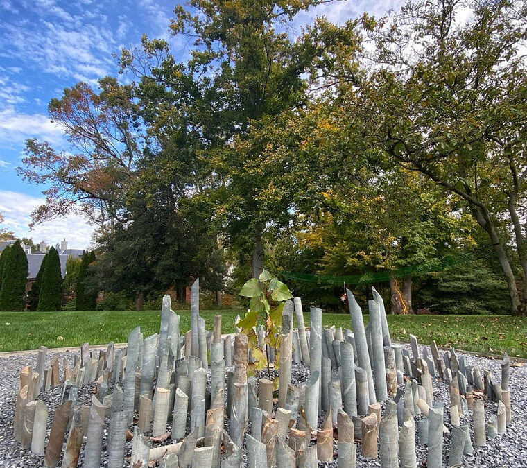 Artifacts of Speculation