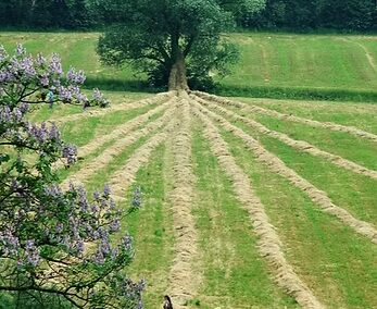 Art in a Time of Climatological Catastrophe: 2013